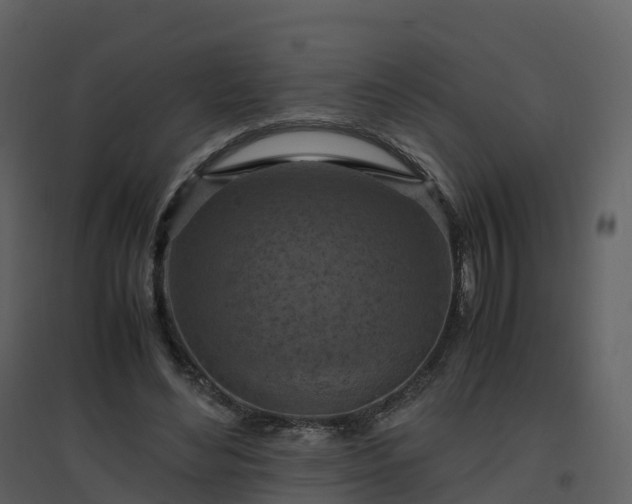 X0000096640492200802121113