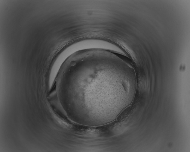 X0000096640493200802121113