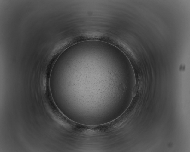 X0000096640494200802121113