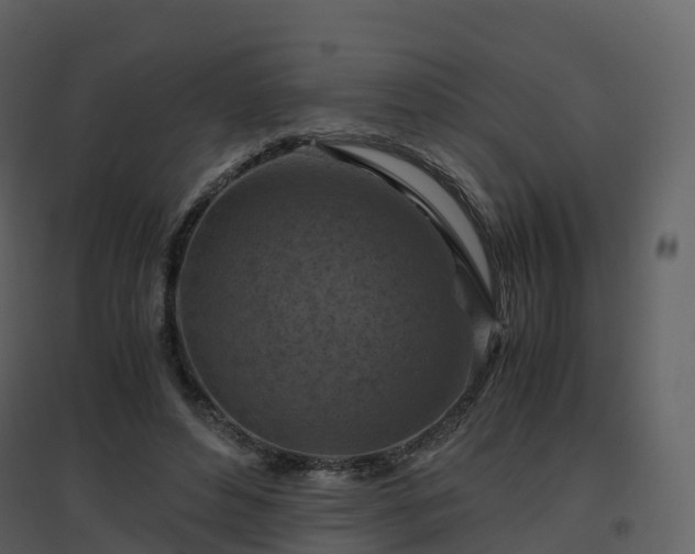 X0000096640496200802121113