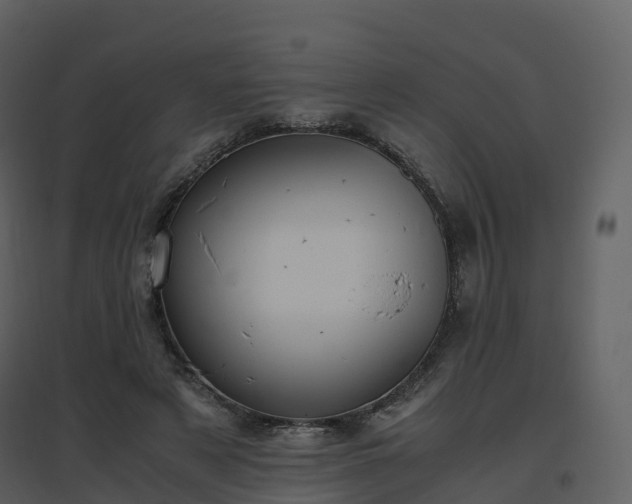 X0000096640497200802121113