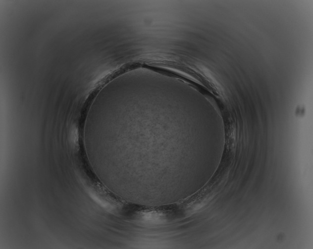 X0000096640500200802121113