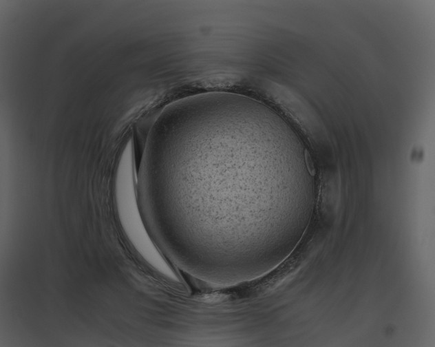 X0000096640501200802121113