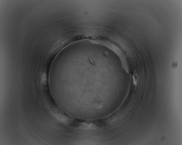 X0000096640502200802121113