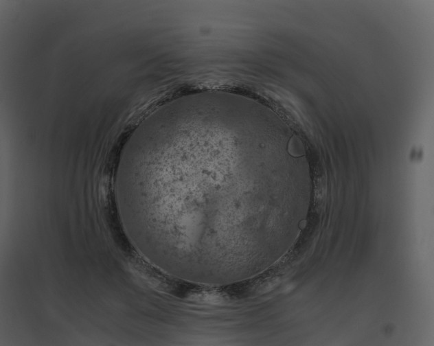X0000096640503200802121113