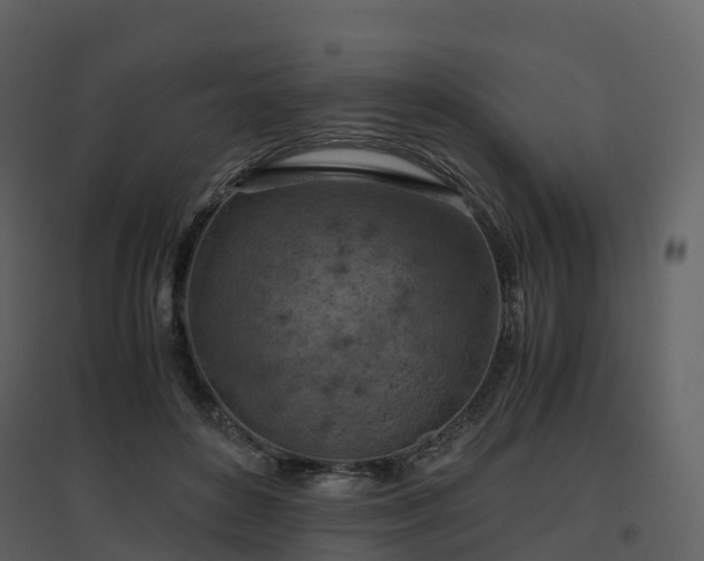 X0000096640504200802121113