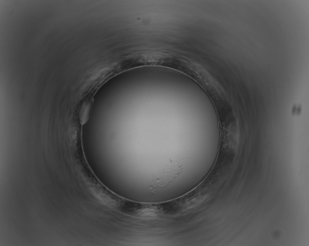 X0000096640505200802121113