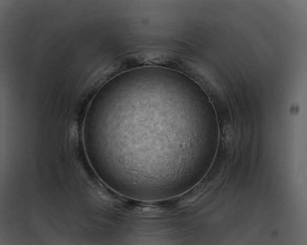 X0000096640506200802121113