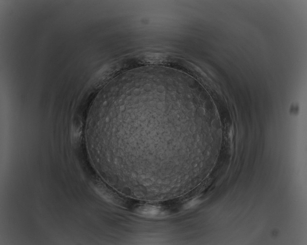 X0000096640507200802121113