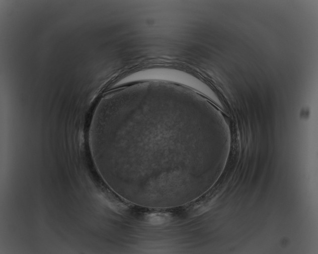 X0000096640508200802121113