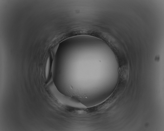 X0000096640509200802121113