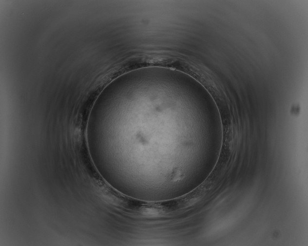 X0000096640510200802121113
