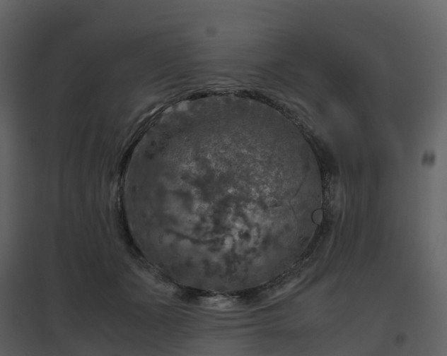X0000096640511200802121113