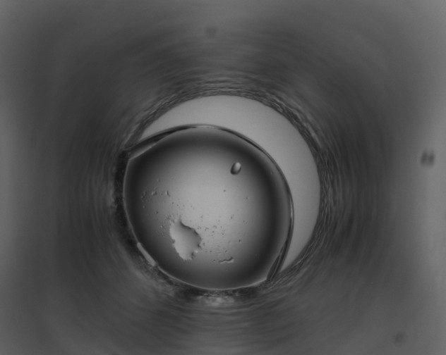 X0000096640512200802121113