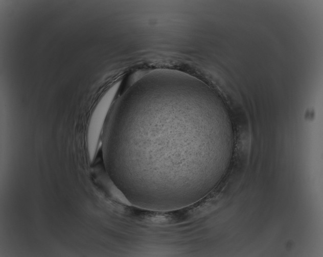 X0000096640513200802121113