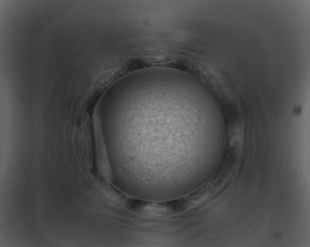 X0000096640515200802121113