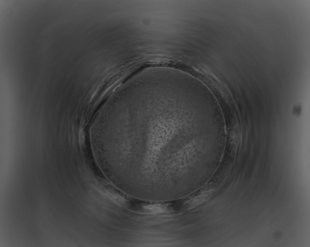 X0000096640516200802121113