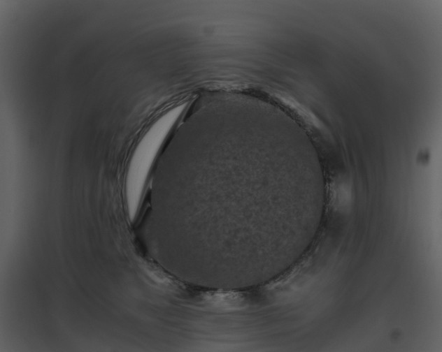 X0000096640517200802121113