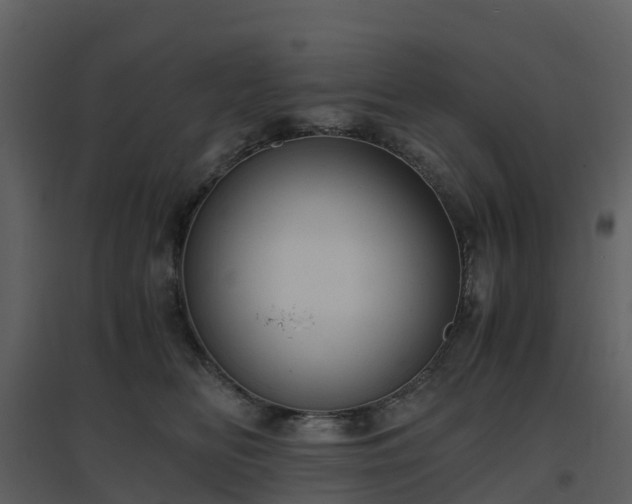 X0000096640518200802121113