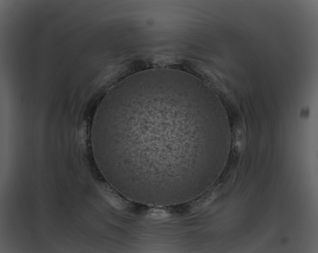 X0000096640519200802121113