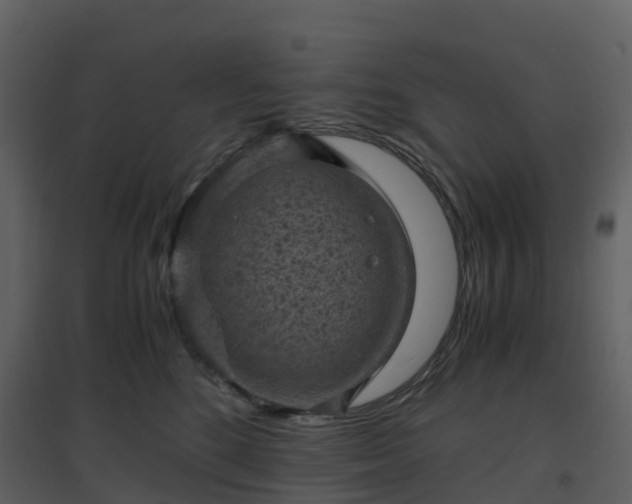 X0000096640520200802121113
