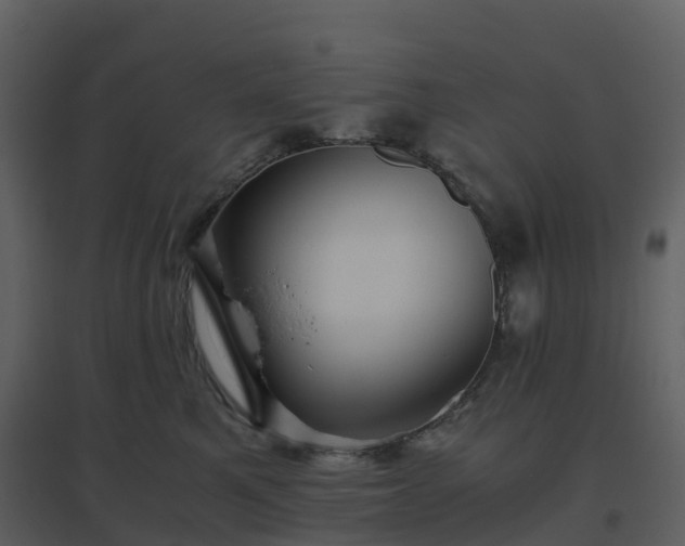 X0000096640521200802121113