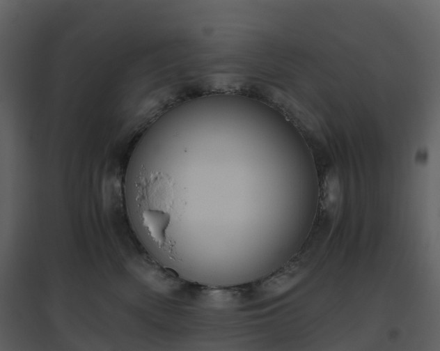 X0000096640522200802121113