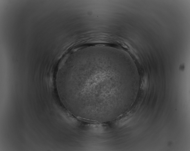 X0000096640524200802121113