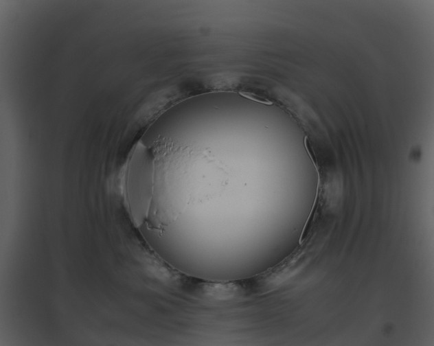 X0000096640525200802121113