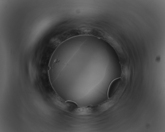 X0000096640526200802121113