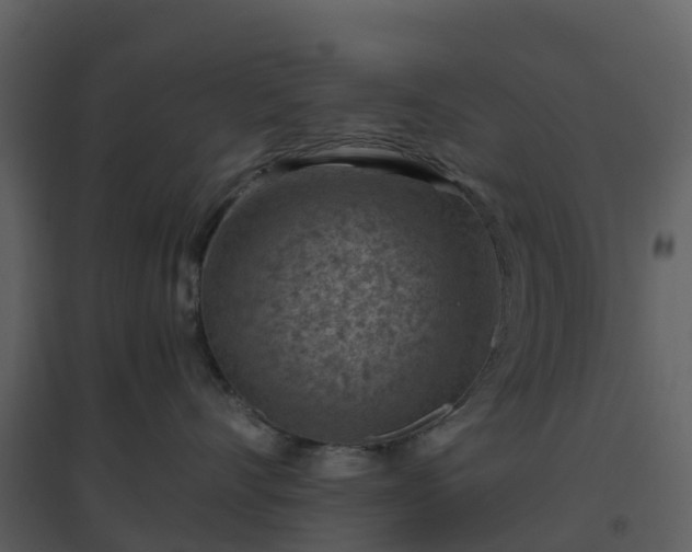 X0000096640528200802121113