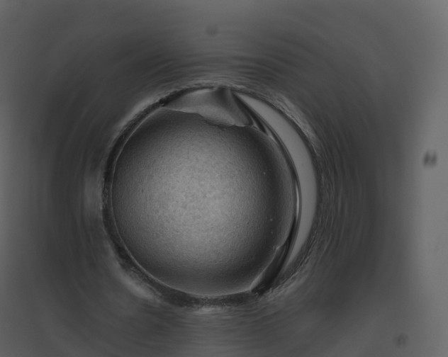 X0000096640530200802121112