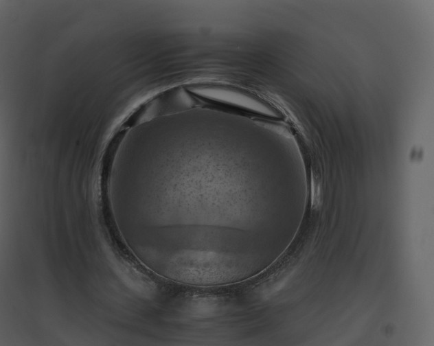 X0000096640531200802121112