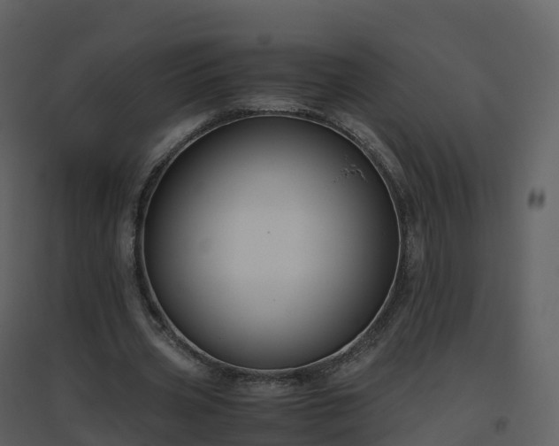 X0000096640533200802121112