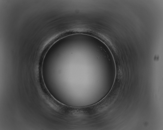 X0000096640535200802121112