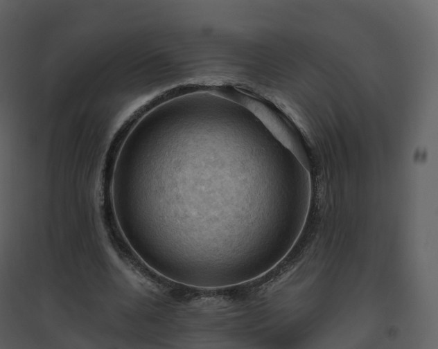 X0000096640536200802121112
