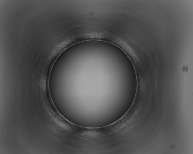 X0000096640537200802121112