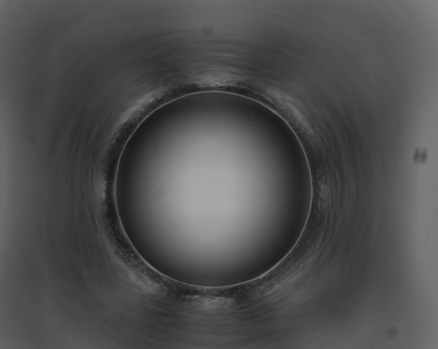 X0000096640539200802121112