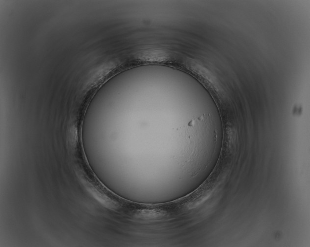 X0000096640541200802121112