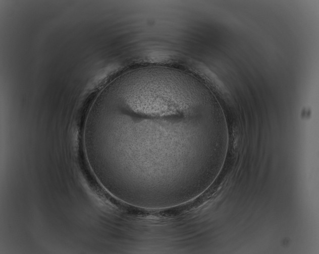 X0000096640542200802121112