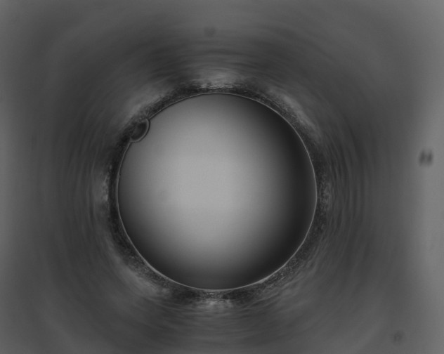 X0000096640543200802121112