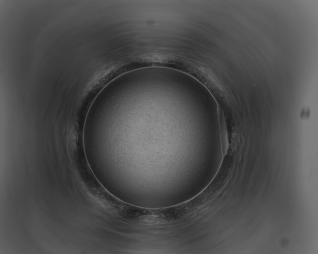 X0000096640544200802121112