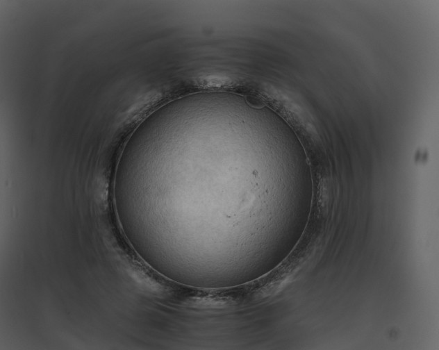 X0000096640545200802121112