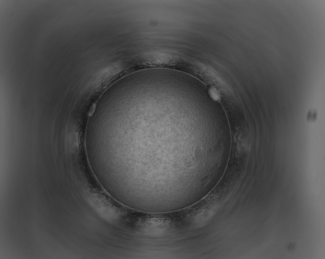 X0000096640546200802121112