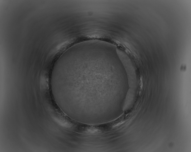 X0000096640547200802121112