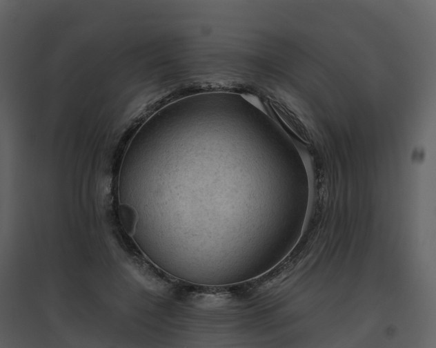 X0000096640548200802121112
