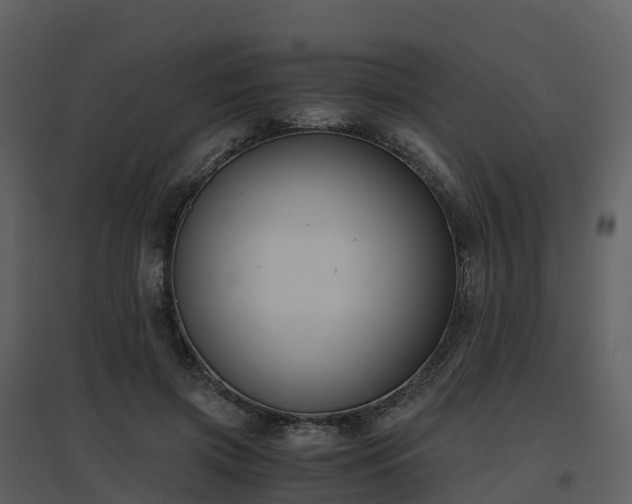 X0000096640549200802121112