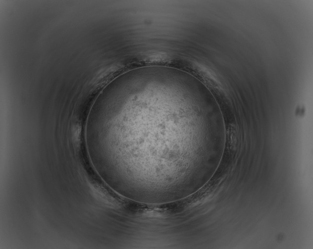 X0000096640550200802121112