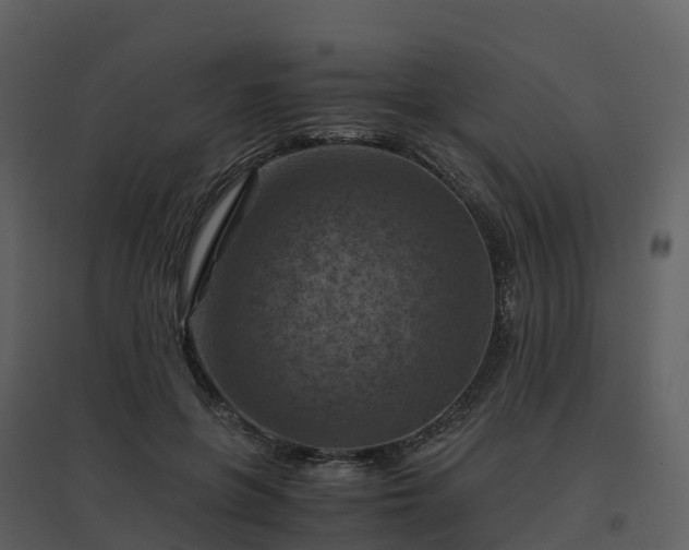 X0000096640551200802121112
