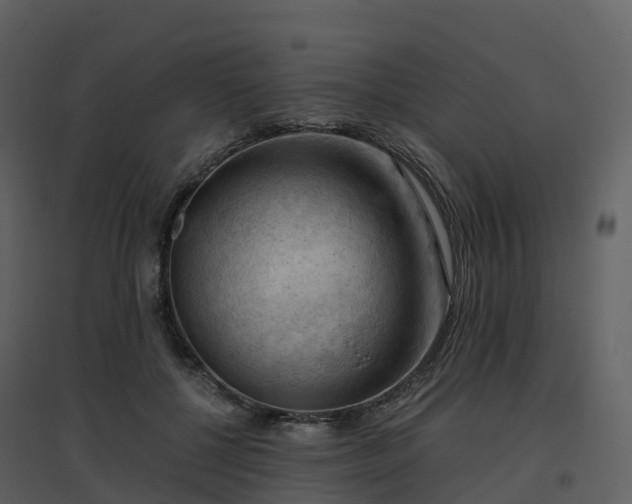 X0000096640552200802121112